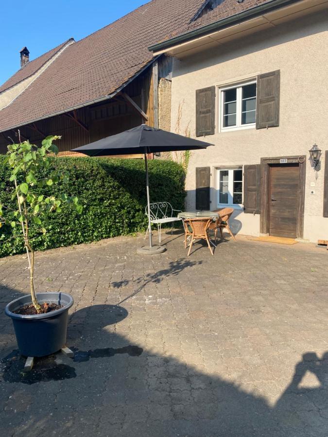 Ruhige 2 Zimmer Wohnung Diegten Zewnętrze zdjęcie